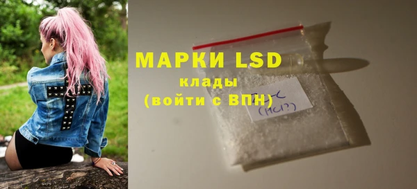 ГАЛЛЮЦИНОГЕННЫЕ ГРИБЫ Каменка