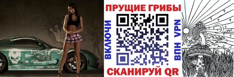 купить наркоту  Кузнецк  мега как войти  Псилоцибиновые грибы Psilocybe 